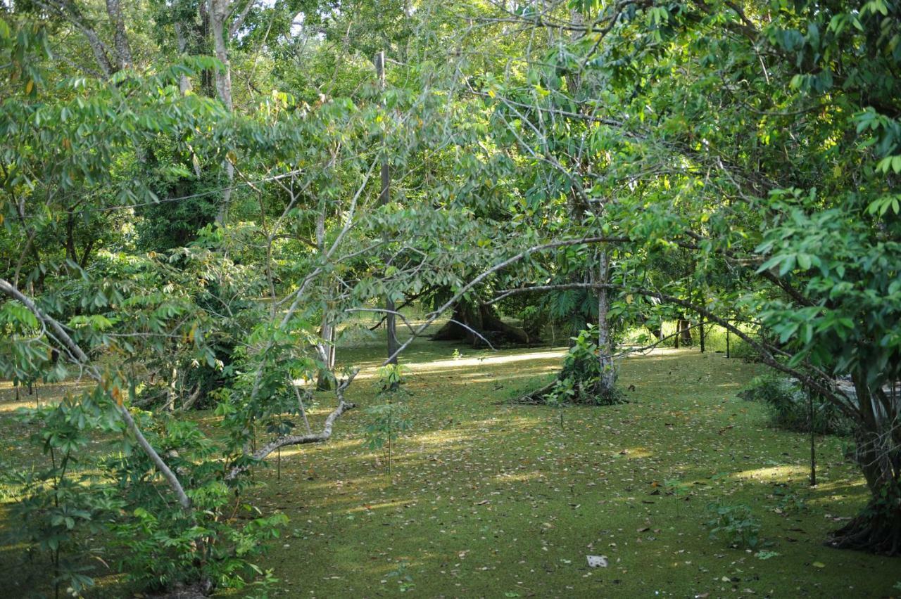 Dreamcatcher Eco Lodge (Adults Only) Rio Dulce Town Kültér fotó